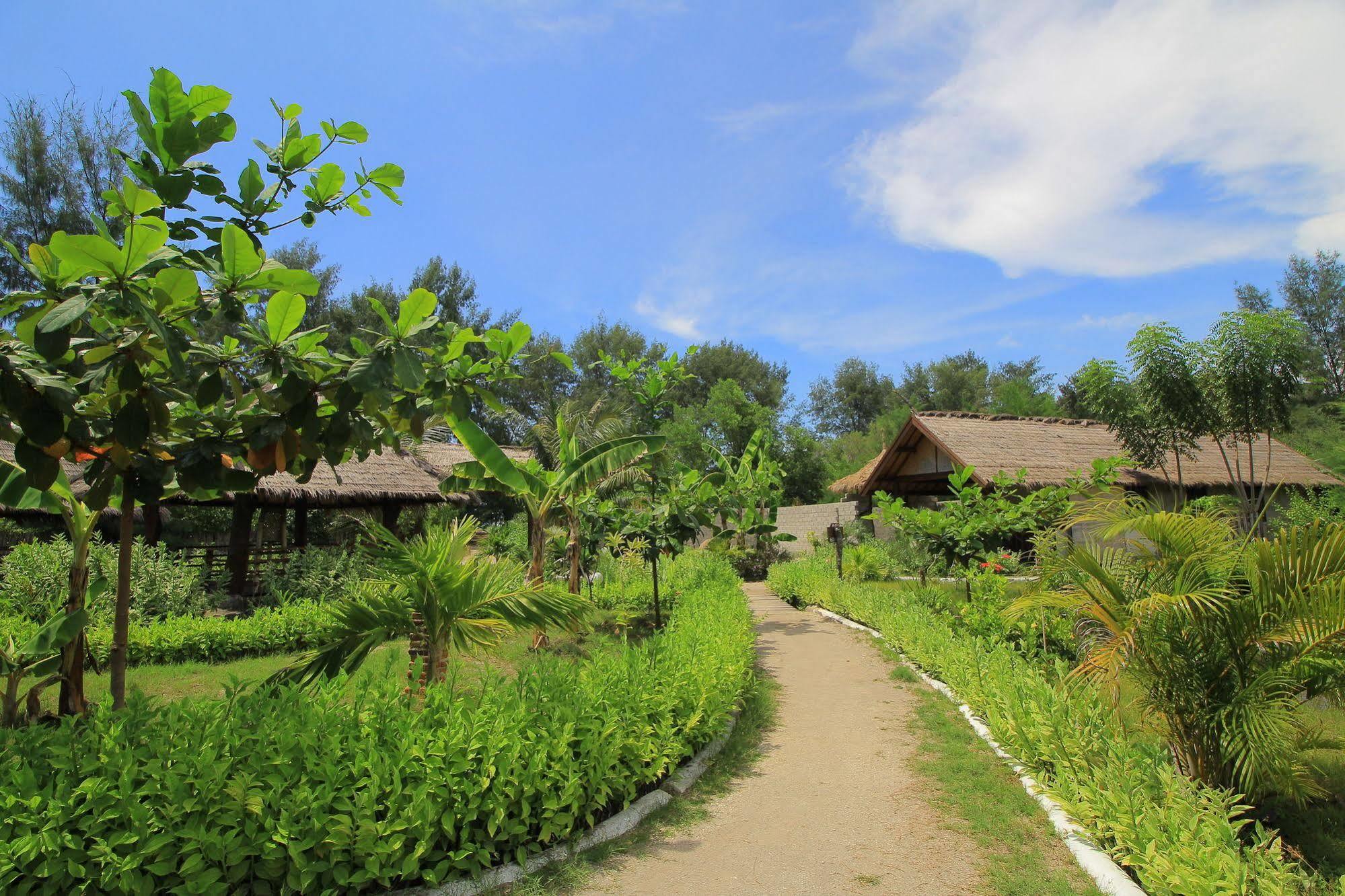 Adeng-Adeng Bungalows Gili Meno Exteriér fotografie